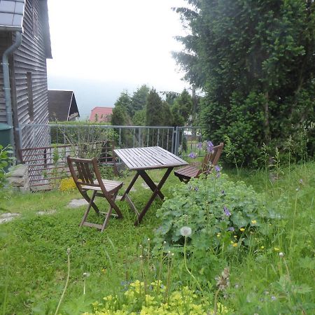 Haus Bergwiese - für Naturfreunde, Familien, Wanderer Gehlberg Exterior foto