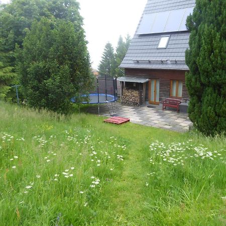 Haus Bergwiese - für Naturfreunde, Familien, Wanderer Gehlberg Exterior foto